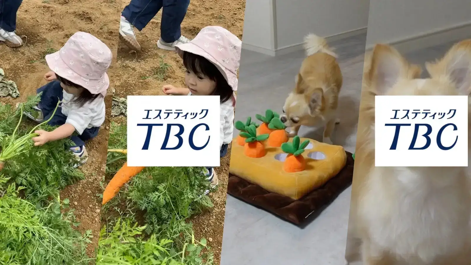 400件以上の体験予約に貢献。新しい脱毛の広告表現に挑戦した縦型CM動画施策｜ エステティックTBC /メンズTBC