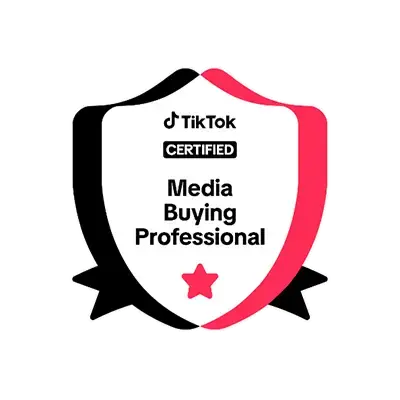 TikTok Media Buying Professional